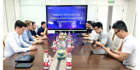 热烈欢迎Endress+Hauser（恩德斯豪斯）自动化有限公司高管团队一行莅临指导